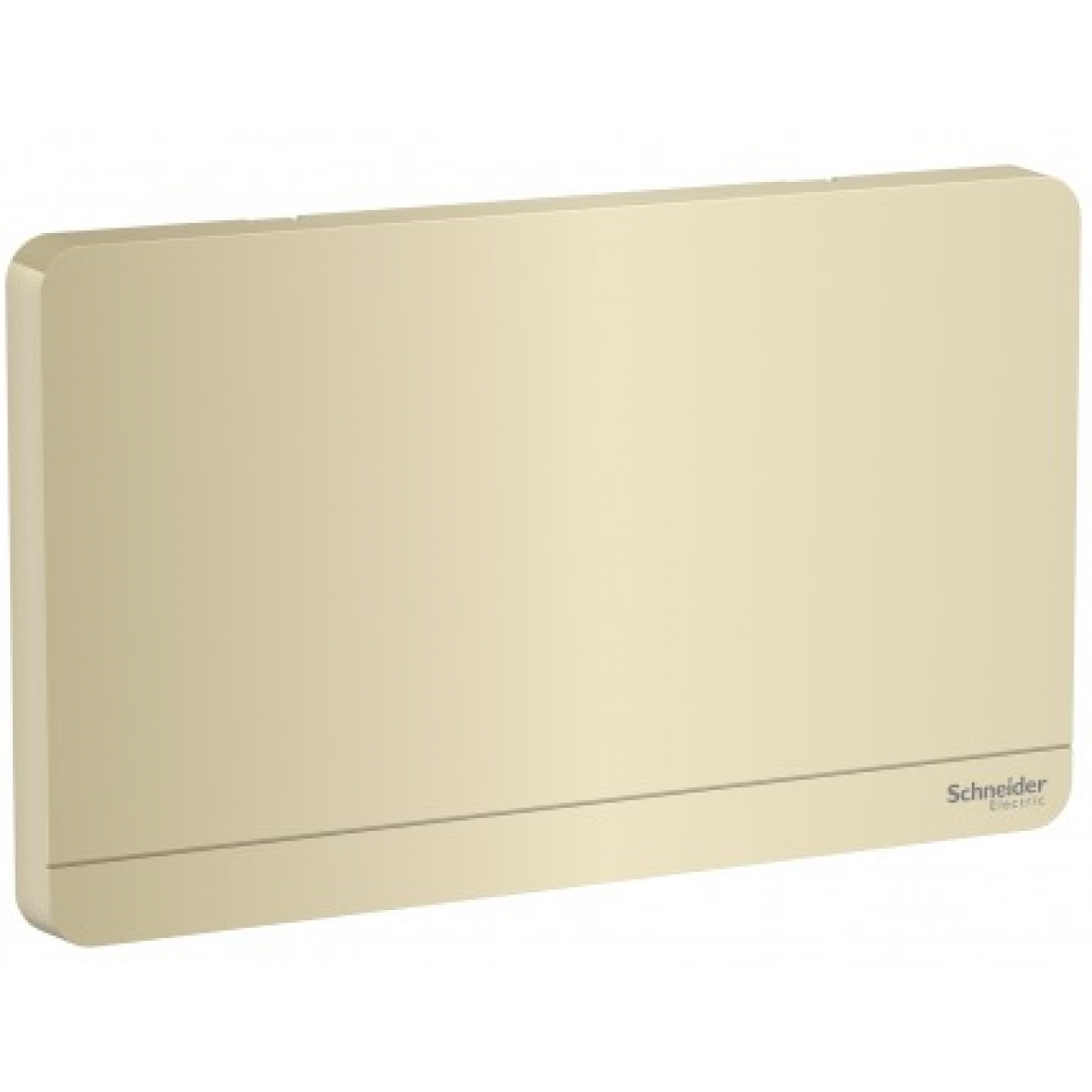 施耐德電氣 AvatarOn 兩位空白掣面 (沉醉金) - 147x87mm，抗紫外線，PC材質